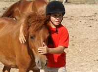 Poney Club