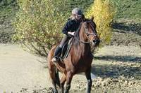 Le TREC